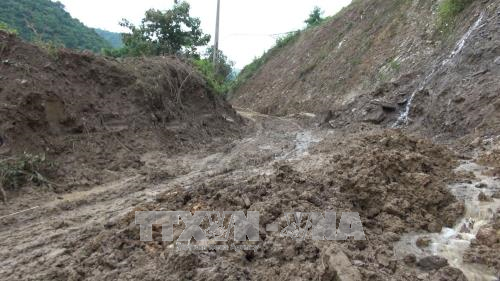Hệ thống đường bộ thiệt hại trên 210 tỷ đồng do bão lũ 